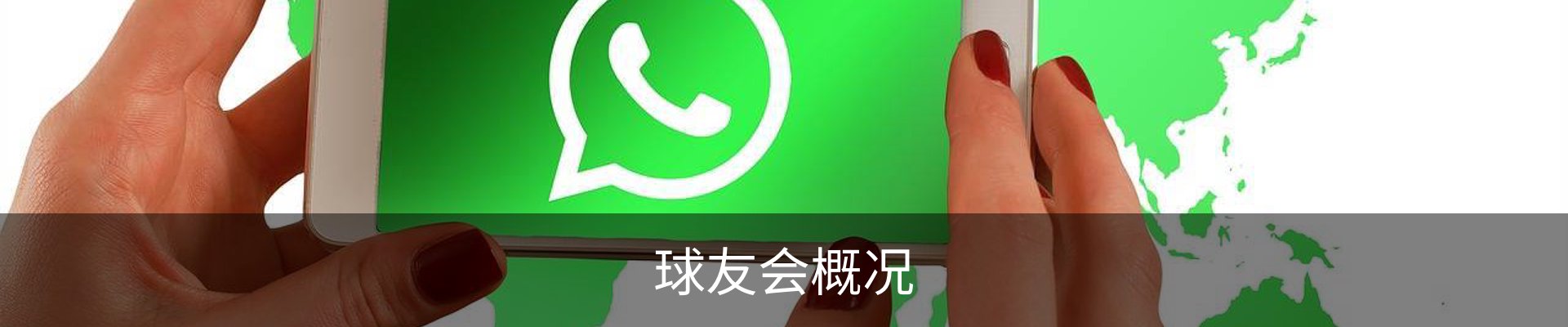球友会概况